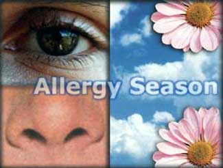 Allergy season - Most of the people have suffer from allergy during winter season. This is due to the above discussion that wearing rough fabric such as wool.