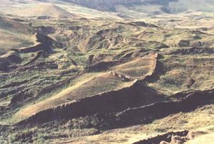 Ark Of Noah - The Myteries Never Solve - The picture that see from above