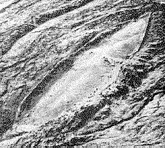 Ark of Noah - still the picture taken from high place