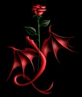 Rose - Symbol of life