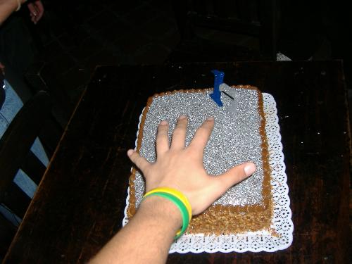 Birthday Party - This is a photo of my birthday 17' cake :)