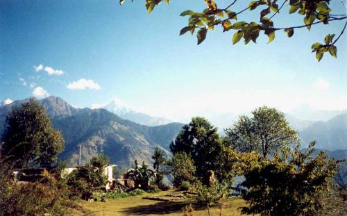 Munsiari - Lovely hilly area in Uttara Khand, India.