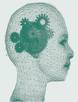 psycology - Psycology