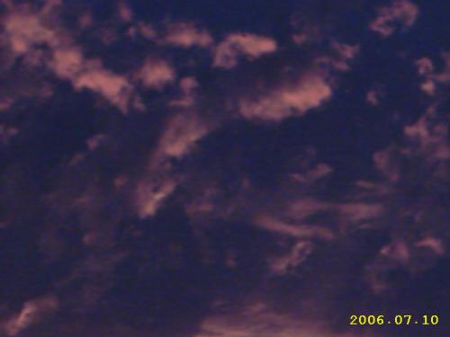 Is it a Phoenix - After reading the Half Blood Prince by J K Rowling I was very sad, no spoilers here though, but is this a phoenix?