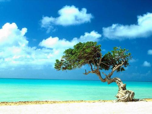 i want to be here - it is very beautiful