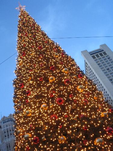 Christmas Tree @ Union Square - The huge tree at Union Square with the lights on.