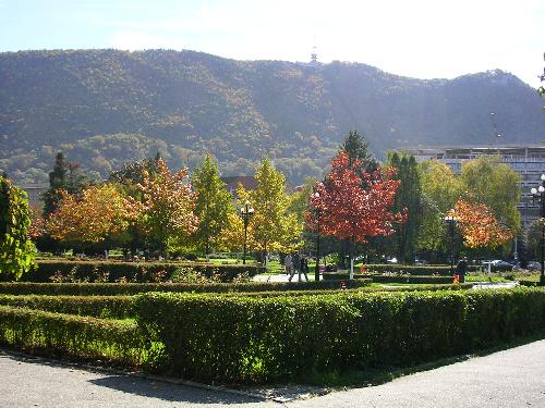 Brasov Central Park - This is the green field of Brasov
