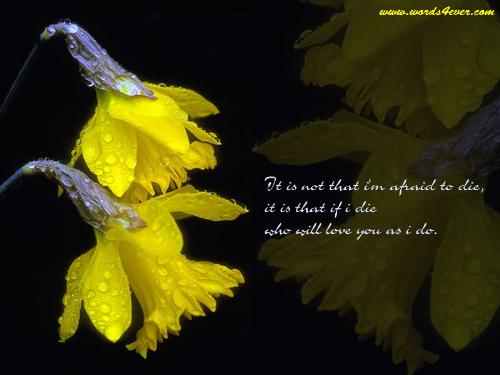 caring of life - its not that i  m afraid to die, but if i die who will love u as i do...!