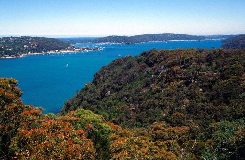 australia - I cannot go, although I should pretend Some final self whose phantom eye could see Him who because he is not cannot change. And yet the thought of going makes the sea, The land, the swimmers, and myself seem strange, Almost as strange as they will someday be.
