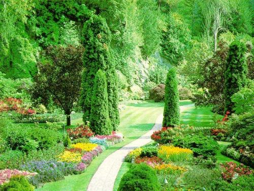 nature - nature again