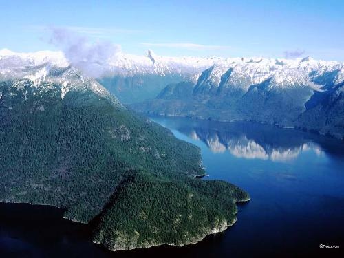 Forests eternal - What can we do to protect these eternal works of God?
