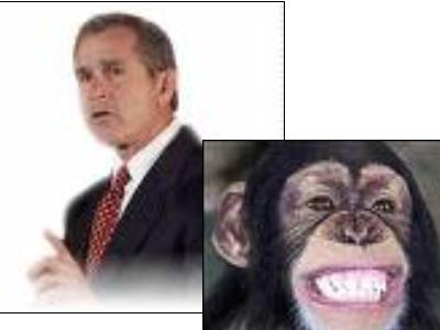 Bush Vs Monkey - Plz do me a fave..................