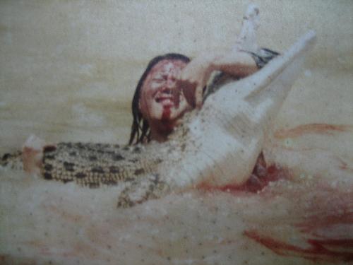 Is the croc very wild ? -  This phot was captured a crocodile farm in Malaysia when this pity girl try to pick her belongings which fall in the crocodile pond. Luckily,  she is still alive but she lost her hand.