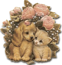 cute - cute dogies