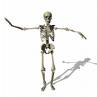 dance........ - deadly dancing...