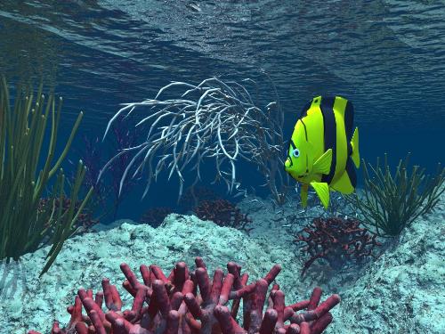 water life - i like fish