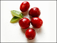 cherry - Cherries are a favorite fruit