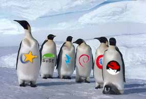 linux - linux-gambar penguin
