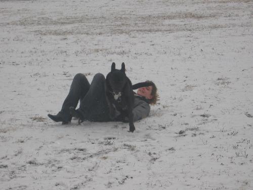 Playing - Playing in the snow with my dog, Max