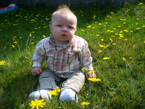 my son Caleb.  - this is my son Caleb. he is 5months in this picture. He looks sweet in all them dandilions
