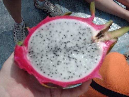 Dragonfruit - The fruit of the dragon. Similar to the kiwi in texture, but in taste, nothing like it. Extremely refreshing and delightful on a hot Vietnamese day.