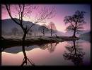 the nicest of the nature - cool