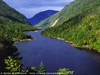 the nicest of the nature - nice
