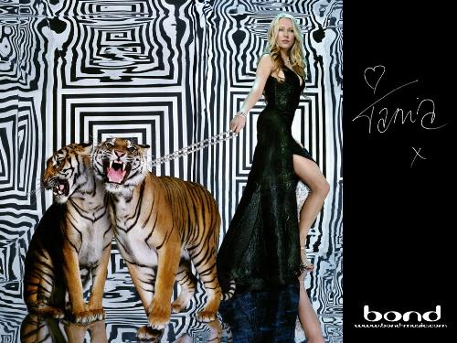 tiger model - check the amazing snap