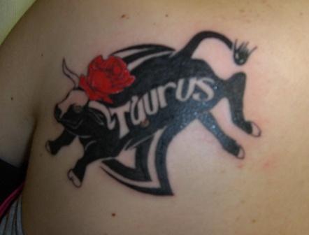 Bull Tattoo - Most recent tattoo of a bull