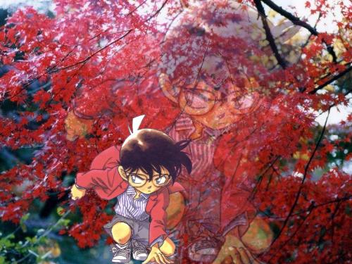 detective conan - assasin type of guy