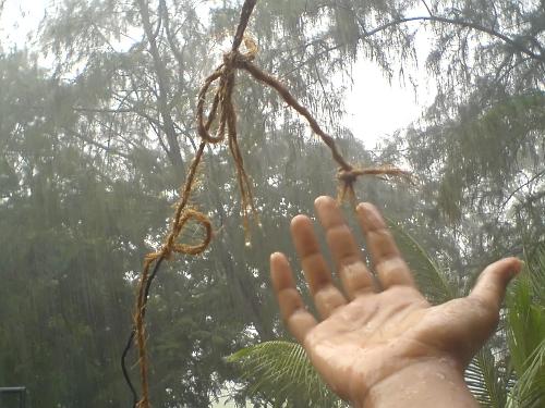 Hand in the Rain - The hand getting wet under the rain.