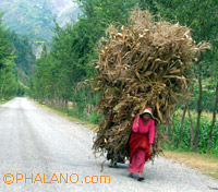 struggling a life - life is to live at any cost.. this is also a way of living a life fully.