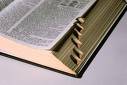 Dictionary - Dictionary we need on mylot