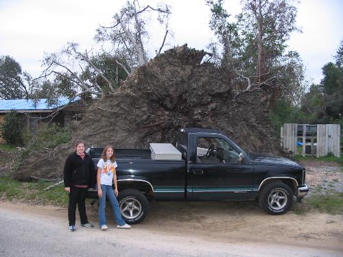 Florida Hurricanes - Hurricanes are not good for your trees!