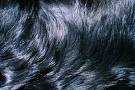 Black Hair - Black Hair