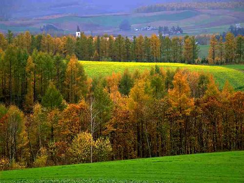 Spend your weekend with full of green. - great scene of nature.