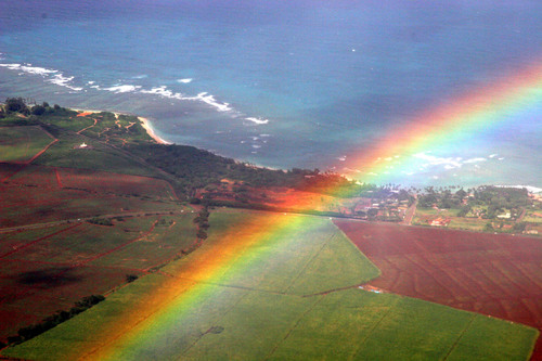 Rainbow - The fantastic rainbow