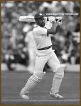 a legend of cricket  - a legend in cricket of all time