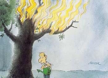 some thing - it is tree