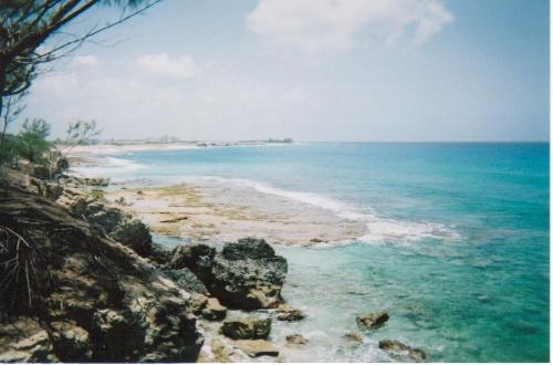 Paradise Island - This photo was taken from a cliff at Paradise Island, during our trip to the Bahamas.  The whole trip was absolutely wonderful!  I think this is what heaven must be like!