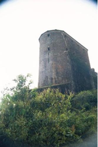 The Citadelle, Haiti - The Citadelle was build on top of a 3000 foot mountain east of Cap Haitien by King Henri Christophe in the early 1800s.  His purpose was to be able to beat off an invasion from France, but they never tried to invade Haiti again.  The defeat of the French army in Haiti cost Napoleon so many resources and troops that it effectively ended his conquest of Europe.  So, the Haitians not only defeated the French in Haiti, but that defeat also saved Europe from Napoleon.  No wonder Napoleon hated General Toussaint Louverture, the Haitian military genius who orchestrated the defeat of France, so much that he had Toussaint kidnapped and taken to France to die of exposure in a French prison in the mountains.