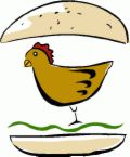 Henburger - I love chickens.