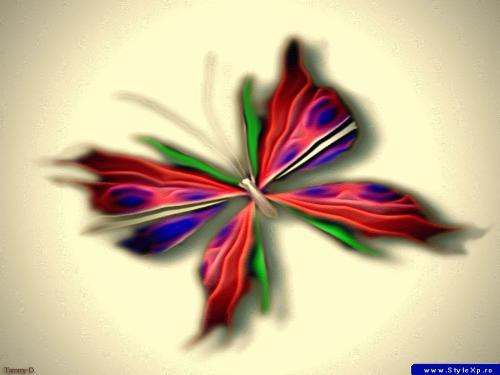 Butterfly graphic - butterfly graphic
