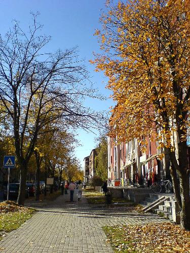 Kazincbarcika, Hungary - Kazincbarcika is a town in Northern Hungary. This is the main street of the city, in Autumn 2006.