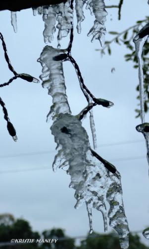 Real Icicle Lights - The first freeze in our area this year. I woke up the other morning and found this icicle forming on my icicle lights