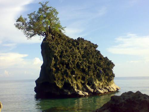 one of my favorite pics - i took this pic in an island in bohol, philippines. it's a great one for me.