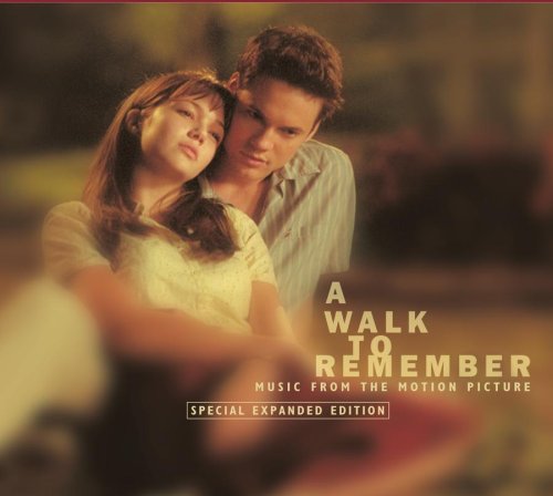 a walk to remember - love is like a wind you cant see it but you can feel it.