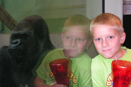 Triplets! - My son at the zoo..and his distant relative!