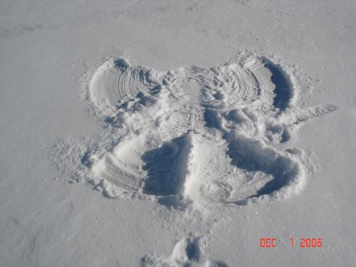 snow angel - this was made by my son. it's one of my favorite pics ever!