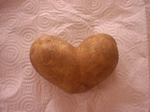 Potato Heart - I love Mylot.